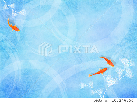 金魚と水草 和風 夏イメージ 103246350