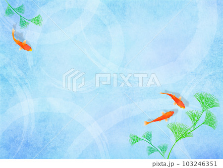 金魚と水草 和風 夏イメージ 103246351