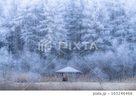 《長野県》雪景色の中牧湖・霧氷の森 《長野県》雪景色の中牧湖・霧氷の森 103246466