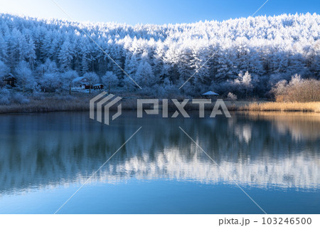 《長野県》雪景色の中牧湖・霧氷の森 《長野県》雪景色の中牧湖・霧氷の森 103246500