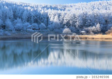 《長野県》雪景色の中牧湖・霧氷の森 《長野県》雪景色の中牧湖・霧氷の森 103246506