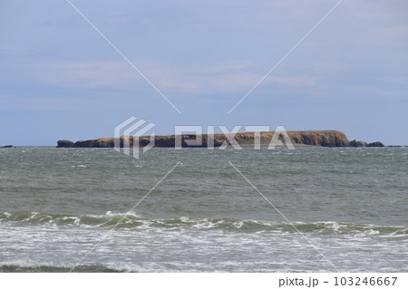 根室半島沖 チトモシリ島 103246667