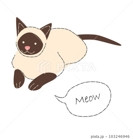 Siamese cat ( Wichienmaat ) or Himalayan cat . Cute cartoon characters . Flat shape and line stroke design . Vector illustration . 103246946
