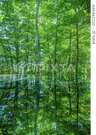 空気神社 空気神社 103246969