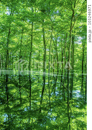 空気神社 空気神社 103246971