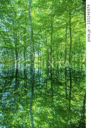 空気神社 空気神社 103246974