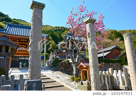 瑞林寺 春 若狭町 瑞林寺 春 若狭町 103247031