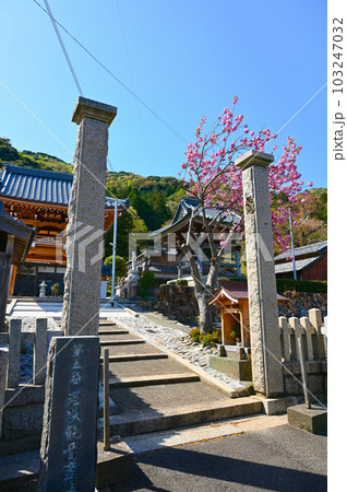 瑞林寺　春　若狭町 103247032