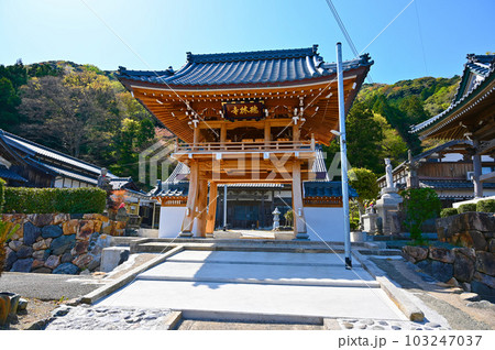 瑞林寺　山門　若狭町 103247037