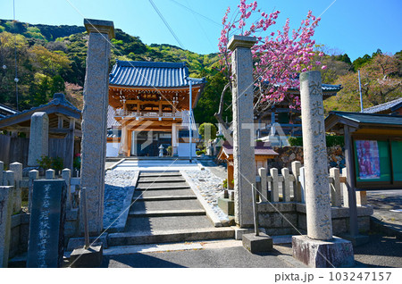 瑞林寺 若狭町 瑞林寺 若狭町 103247157