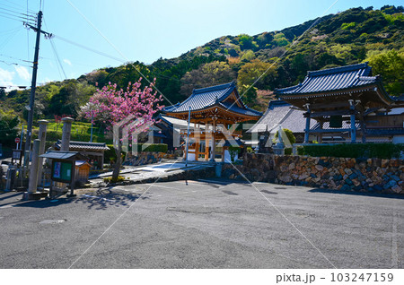 瑞林寺 若狭町 瑞林寺 若狭町 103247159