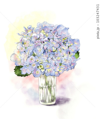 ガラス瓶に生けたあじさいのイラスト素材 [103247431] - PIXTA