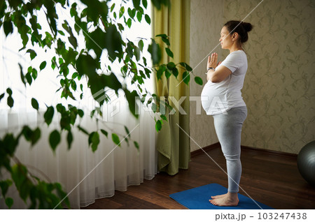 Side portrait of a conscious pregnant woman practices pregnancy yoga, stands on exercise mat in tree posture with namaste hands gesture, smiles at camera, enjoying healthy lifestyle, expecting baby 103247438