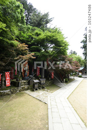 竹生島　宝厳寺　参道の石段 103247486
