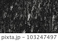 ざらざらした石のテクスチャ素材 103247497