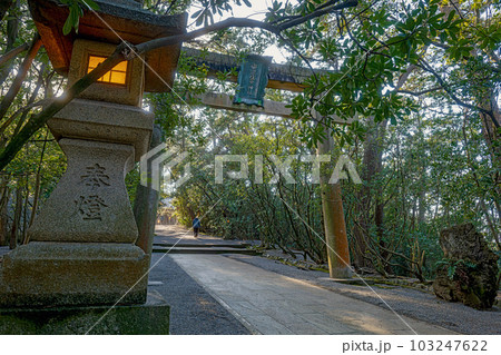 石川 安宅住吉神社 表参道の風景 103247622