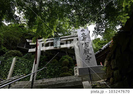 竹生島　宝厳寺 103247670