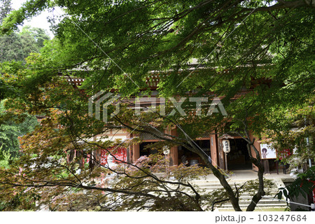 竹生島　宝厳寺　本堂（弁才天堂） 103247684