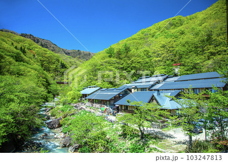新緑の峩々温泉 103247813