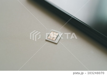 microSIM 103248070