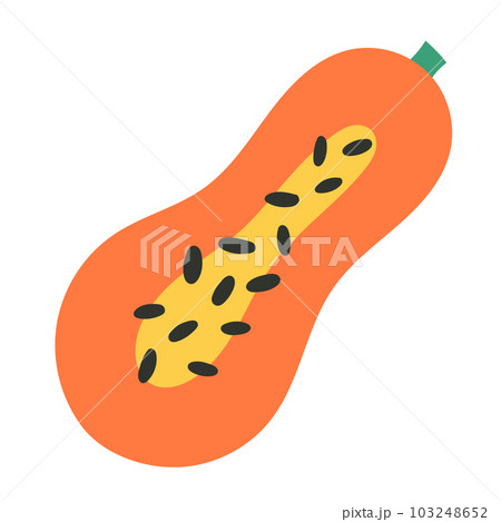 papaya fruit illustration isolated on white background 103248652