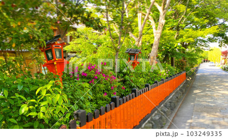京都 祇園白川 京都 祇園白川 103249335