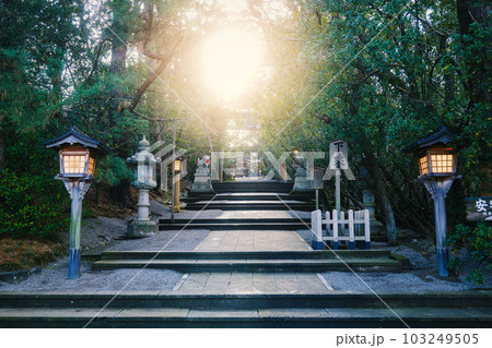 石川 安宅住吉神社 参道を照らす夕陽 石川 安宅住吉神社 参道を照らす夕陽 103249505