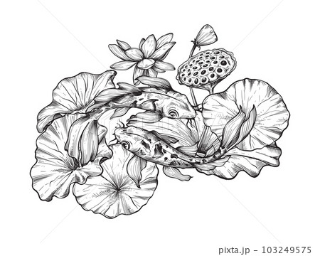Vector composition with hand drawn blooming lotus flowers and leaves 103249575