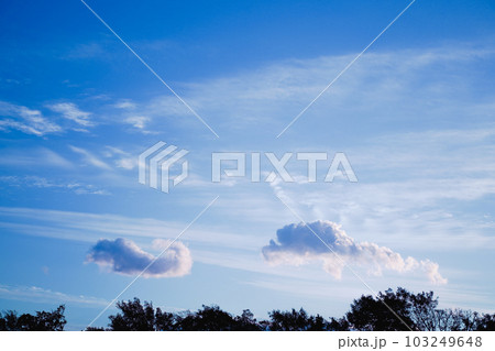 夕方になる前の空と雲 103249648