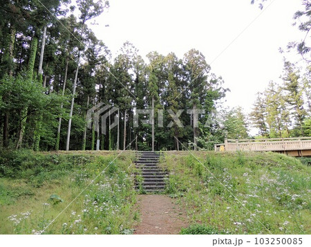 箕輪城跡 蔵屋敷 箕輪城跡 蔵屋敷 103250085