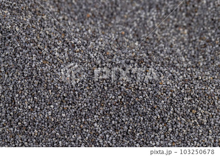 a close-up of a pile of poppy seeds used in cooking a close-up of a pile of poppy seeds used in cooking 103250678