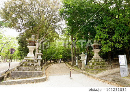 春日大社　 103251053