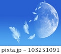 空に浮かぶ月から舞い落ちる羽根 103251091