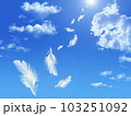 青空から舞い落ちる羽根 103251092