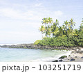 ノースショアの海 103251719