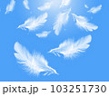 はらりと舞い落ちる羽根 103251730