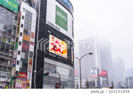 《東京都》雪降る冬の新宿都市風景 《東京都》雪降る冬の新宿都市風景 103251956