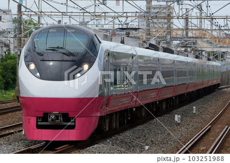 E657系　K12編成　スカーレッドブロッサム　ときわ号　常磐線　馬橋 103251988