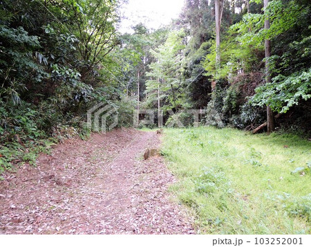 箕輪城跡　御前曲輪北堀 103252001