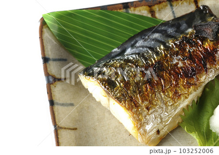 しっかりと焼かれている鯖の塩焼きを白背景で俯瞰撮影 しっかりと焼かれている鯖の塩焼きを白背景で俯瞰撮影 103252006