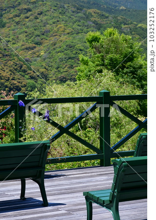 初夏のモネの庭　欧風庭園の水辺 103252176