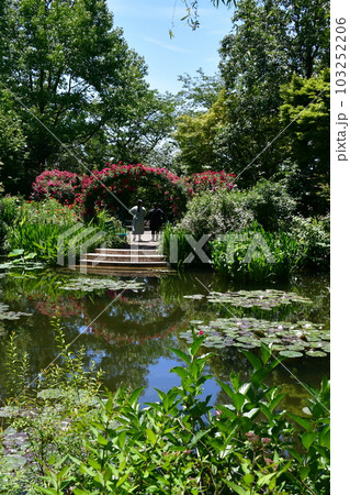 初夏のモネの庭 欧風庭園の水辺 初夏のモネの庭 欧風庭園の水辺 103252206