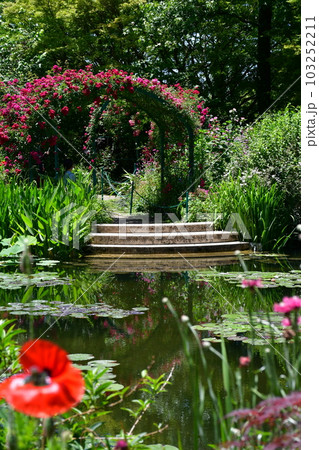 初夏のモネの庭　欧風庭園の水辺 103252211