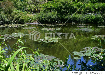 初夏のモネの庭　欧風庭園の水辺 103252222