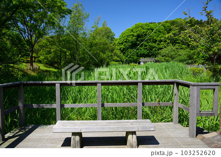 新緑の小雀公園 新緑の小雀公園 103252620