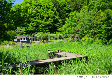 新緑の小雀公園 103252692