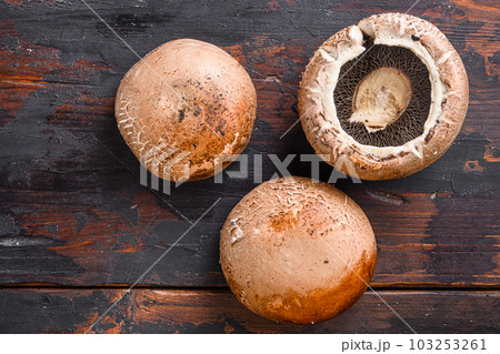Raw portobello mushrooms set on dark old wood table top view space for text. Raw portobello mushrooms set on dark old wood table top view space for text. 103253261