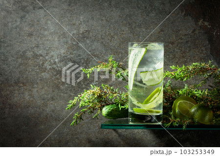 Gin and Tonic with ice, lime, cucumber, and juniper branches. Gin and Tonic with ice, lime, cucumber, and juniper branches. 103253349