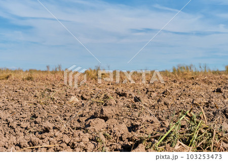 Plowed land, preparation for pre-sowing work in the agricultural season on the ground. Close-up, space for text Plowed land, preparation for pre-sowing work in the agricultural season on the ground. Close-up, space for text 103253473