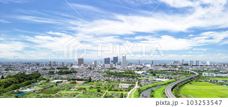「埼玉県」ドローンで撮影した夏空のと沼田んぼの風景 103253547